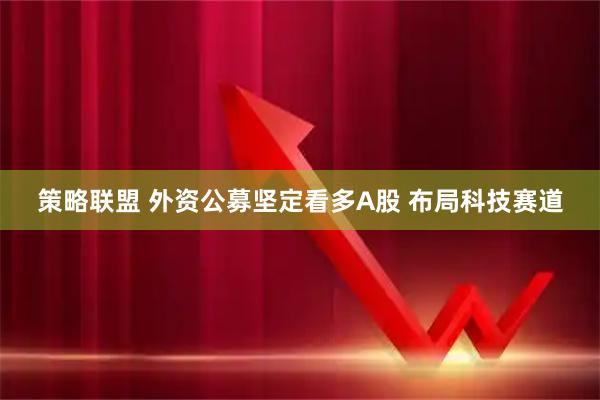 策略联盟 外资公募坚定看多A股 布局科技赛道